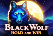 RTP quickspin storebet77